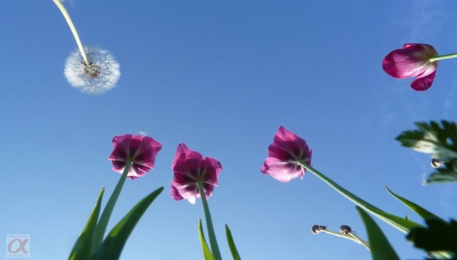 ***
Фотограф: Сергей Буркацкий

Просмотров: 1379
Комментариев: 0