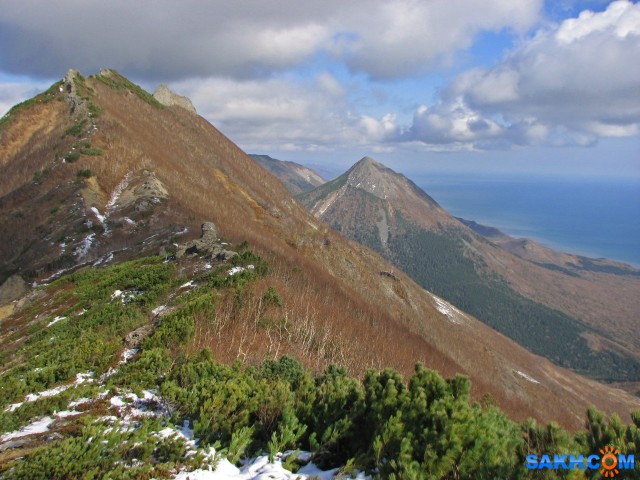 STA_4401-к

Просмотров: 762
Комментариев: 0