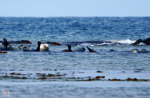 ***
Фотограф: Сергей Буркацкий

Просмотров: 994
Комментариев: 0
