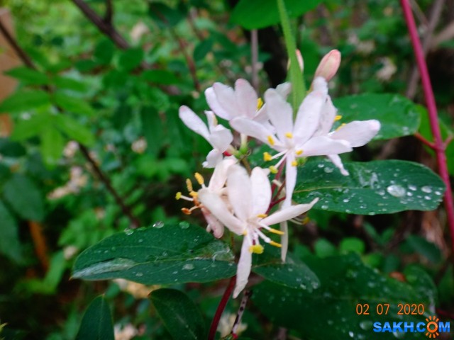 DSC02366

Просмотров: 534
Комментариев: 0