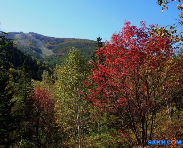 042-к

Просмотров: 469
Комментариев: 0