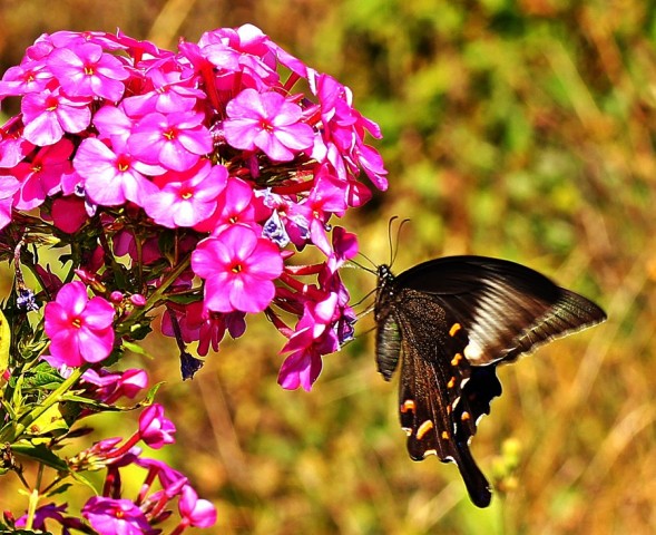 ***
Фотограф: Сергей Буркацкий

Просмотров: 929
Комментариев: 0