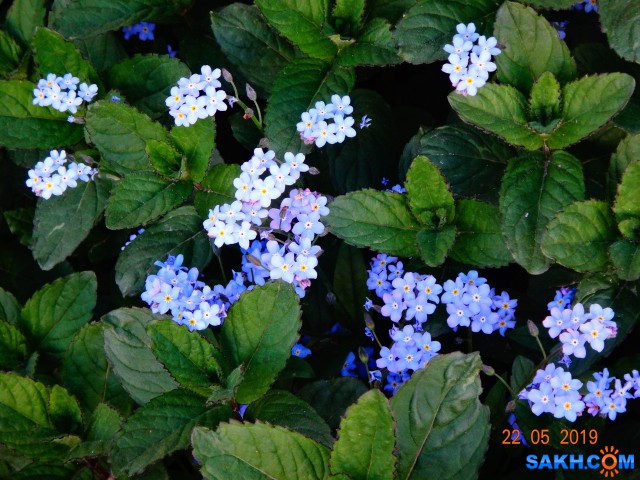 DSC07028

Просмотров: 761
Комментариев: 0