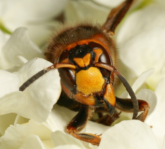 DSC00882
Фотограф: Сергей Буркацкий

Просмотров: 434
Комментариев: 0