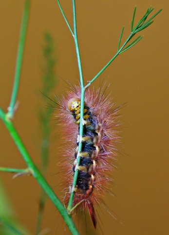 ***
Фотограф: Сергей Буркацкий

Просмотров: 878
Комментариев: 0