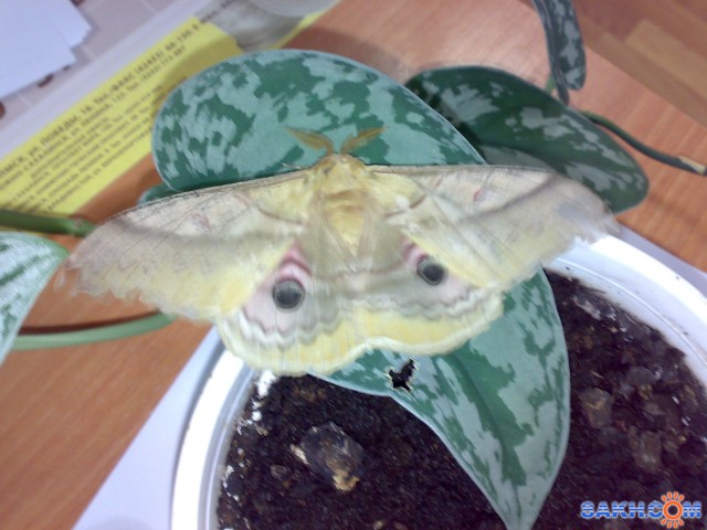 080920111928

Просмотров: 717
Комментариев: 0