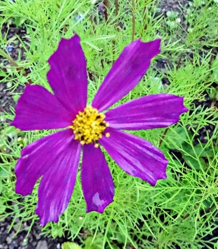 DSC00841
Фотограф: Сергей Буркацкий

Просмотров: 355
Комментариев: 0