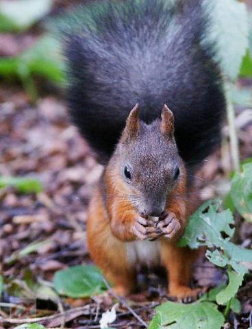 ***
Фотограф: Сергей Буркацкий

Просмотров: 1016
Комментариев: 0