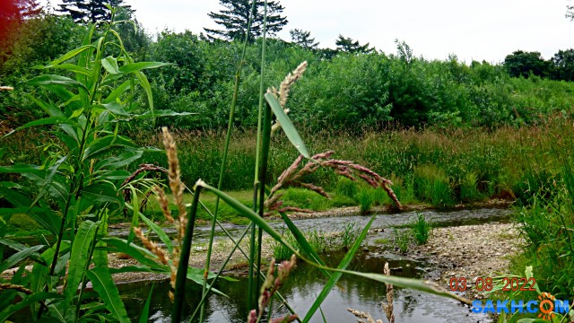 DSC01521