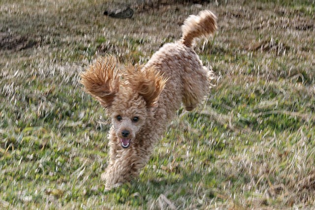 IMG_5757

Просмотров: 2827
Комментариев: 3