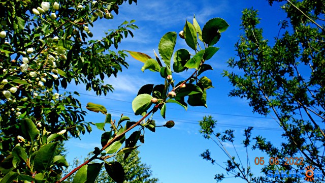DSC09730