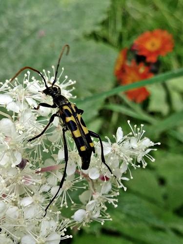 DSC00351
Фотограф: Сергей Буркацкий

Просмотров: 161
Комментариев: 0