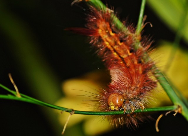 ***
Фотограф: Сергей Буркацкий

Просмотров: 624
Комментариев: 0