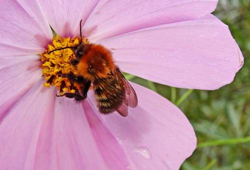 DSC03648
Фотограф: Сергей Буркацкий

Просмотров: 453
Комментариев: 0