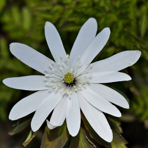 ***
Фотограф: Сергей Буркацкий

Просмотров: 1056
Комментариев: 0