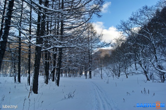 Лыжня
Фотограф: NIK

Просмотров: 528
Комментариев: 0