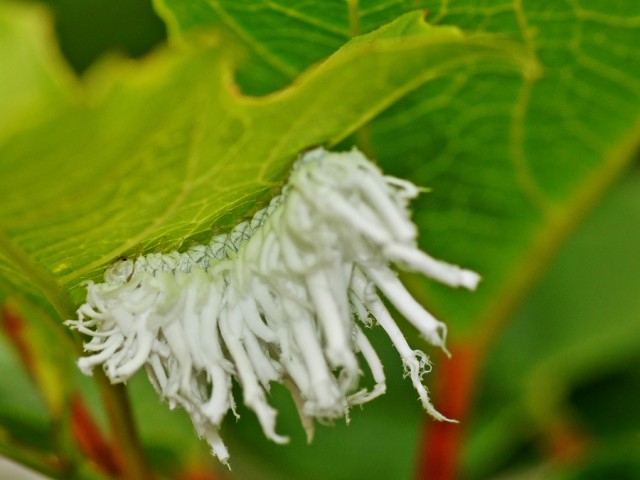 ***
Фотограф: Сергей Буркацкий

Просмотров: 506
Комментариев: 2