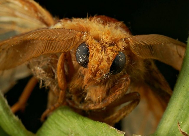 DSC01971
Фотограф: Сергей Буркацкий

Просмотров: 373
Комментариев: 0