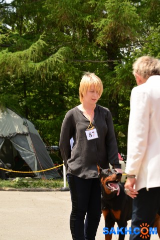 DSC_0242 (853x1280)
Фотограф: Vitus

Просмотров: 331
Комментариев: 0