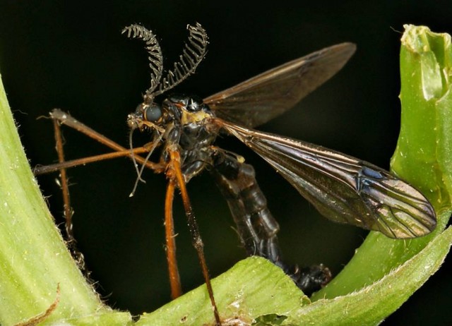 DSC02015
Фотограф: Сергей Буркацкий

Просмотров: 444
Комментариев: 0