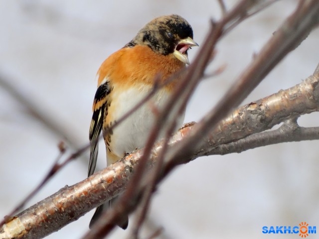 DSC03110

Просмотров: 586
Комментариев: 0