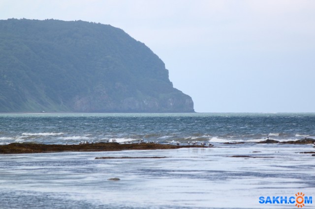 IMG_0755
Фотограф: vikirin

Просмотров: 1278
Комментариев: 0