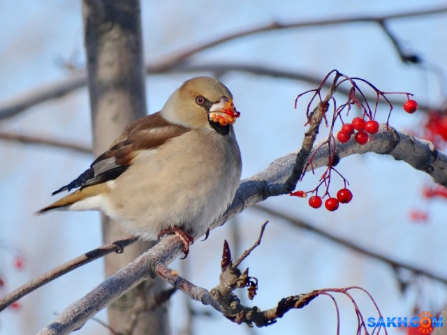 DSC08475_н

Просмотров: 643
Комментариев: 1
