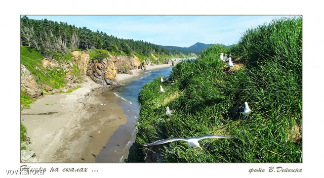 жизнь на скалах...
Фотограф: В.Дейкин

Просмотров: 2720
Комментариев: 1