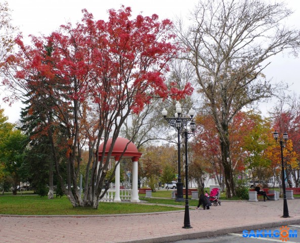 086-к

Просмотров: 804
Комментариев: 0