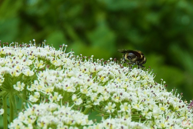 ***
Фотограф: Сергей Буркацкий

Просмотров: 697
Комментариев: 0