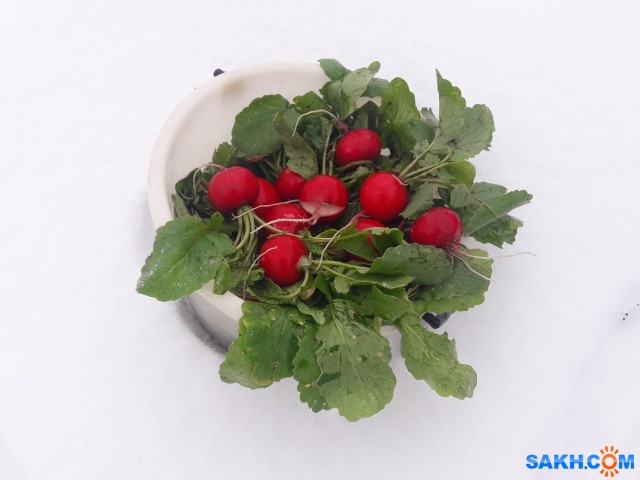 20190222_170624