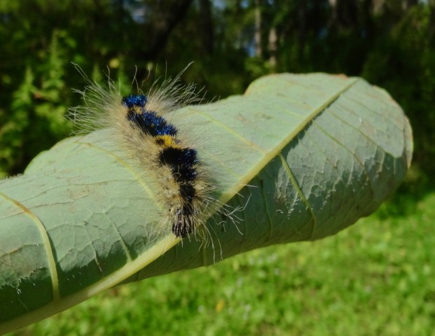 DSC06710
Фотограф: Сергей Буркацкий

Просмотров: 993
Комментариев: 0