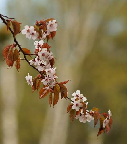 DSC04868
Фотограф: Сергей Буркацкий

Просмотров: 438
Комментариев: 0