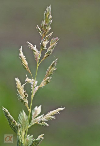 ***

Просмотров: 878
Комментариев: 0