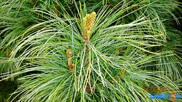 DSC02650

Просмотров: 375
Комментариев: 0