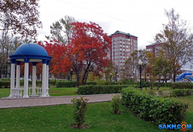 091-к

Просмотров: 816
Комментариев: 0