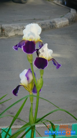 DSC00260

Просмотров: 320
Комментариев: 0