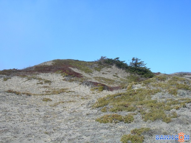 Холмы на мысу Слепиковского
Май 2009 г.

Просмотров: 3521
Комментариев: 0