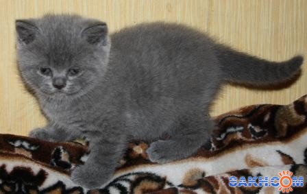 10

Просмотров: 676
Комментариев: 2