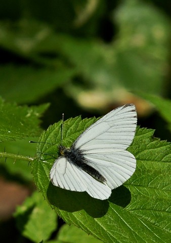 DSC06511
Фотограф: Сергей Буркацкий

Просмотров: 812
Комментариев: 0