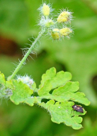 ***
Фотограф: Сергей Буркацкий

Просмотров: 794
Комментариев: 0