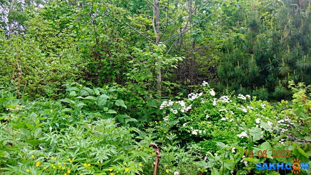 DSC09911

Просмотров: 389
Комментариев: 0