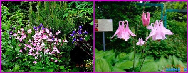 MyCollages

Просмотров: 697
Комментариев: 0