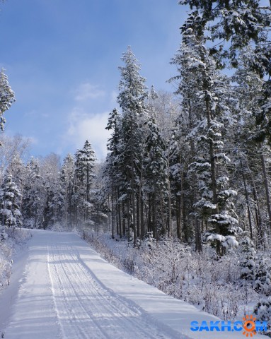 175-к

Просмотров: 849
Комментариев: 0
