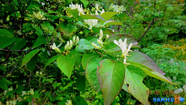 DSC09774

Просмотров: 280
Комментариев: 0