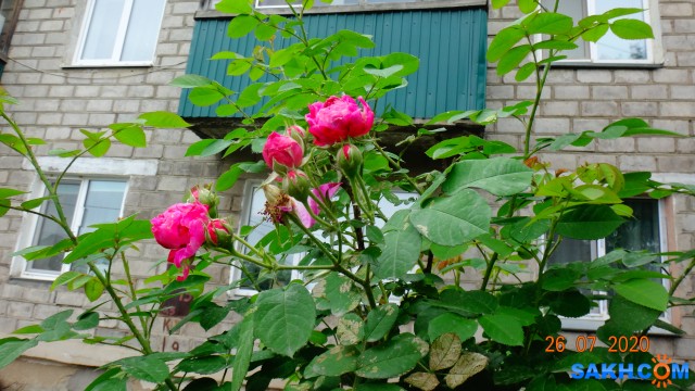 DSC03713

Просмотров: 673
Комментариев: 0