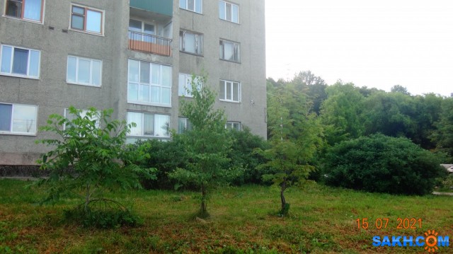 DSC03921

Просмотров: 394
Комментариев: 0