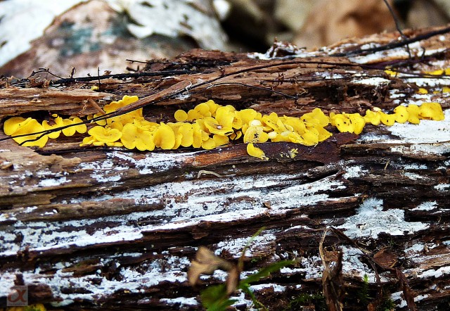 ***
Фотограф: Сергей Буркацкий

Просмотров: 1085
Комментариев: 0