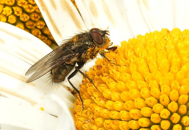 DSC01864
Фотограф: Сергей Буркацкий

Просмотров: 360
Комментариев: 0