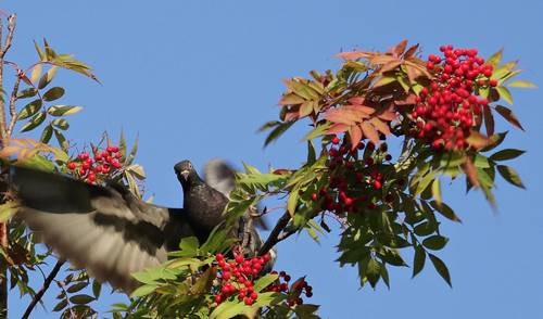 DSC03997
Фотограф: Сергей Буркацкий

Просмотров: 390
Комментариев: 0